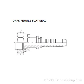 Joint plat femelle ORFS 24211